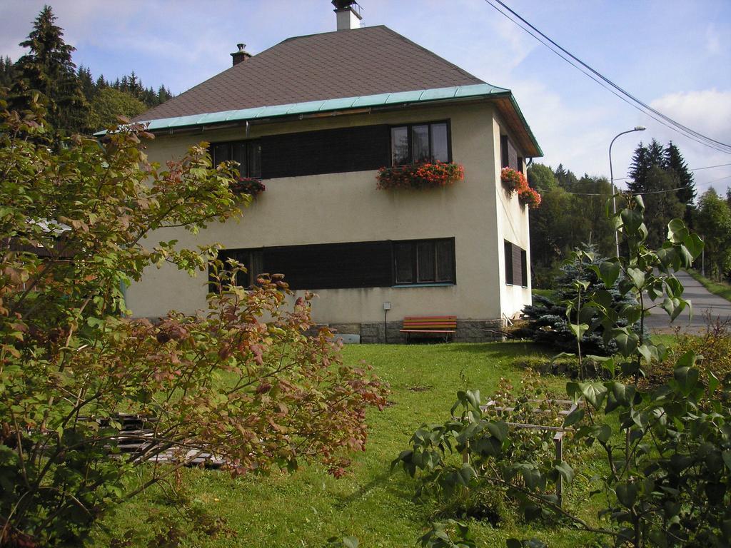 Apartment Arnika Kořenov Rom bilde